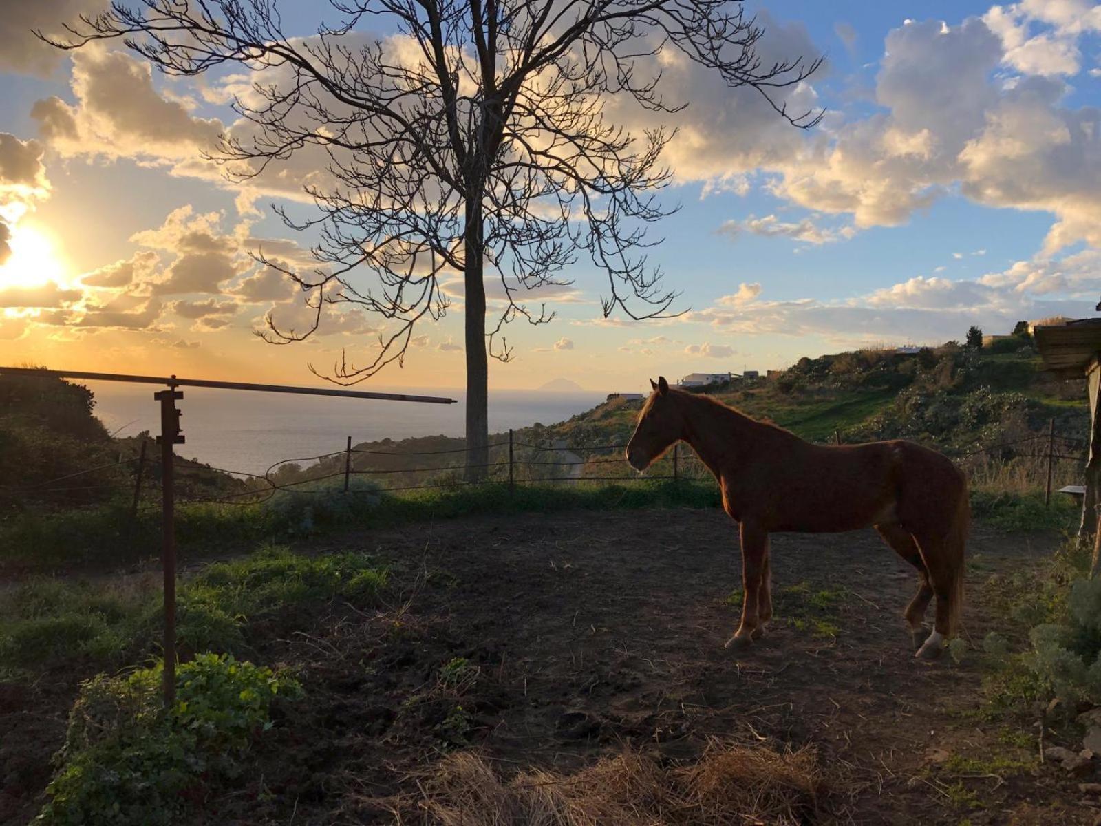 Agriturismo U Zu Peppino Липари Экстерьер фото